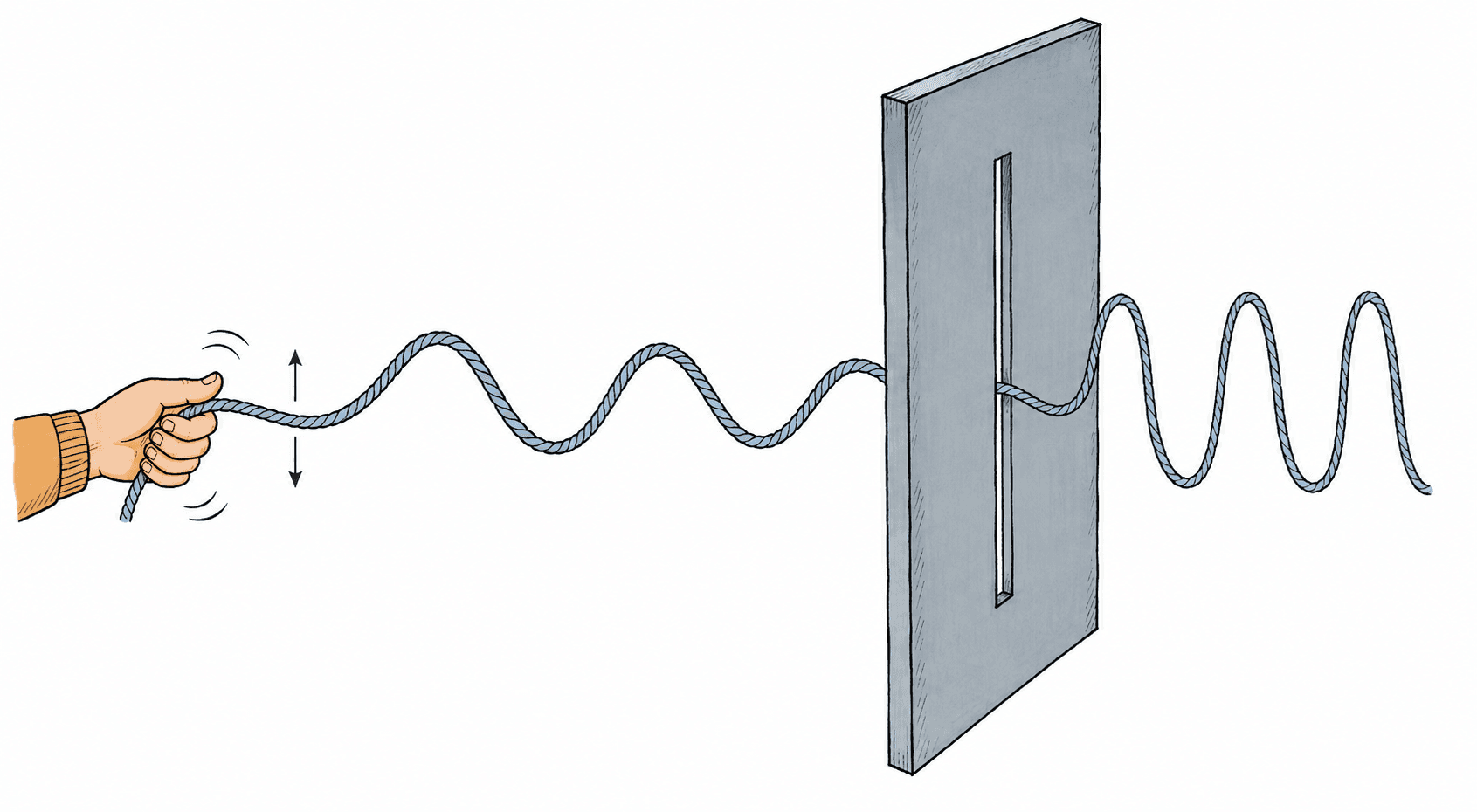 A hand shaking a rope up and down; the rope passes through a vertical slot in a board, which only lets the up-and-down vibration through.