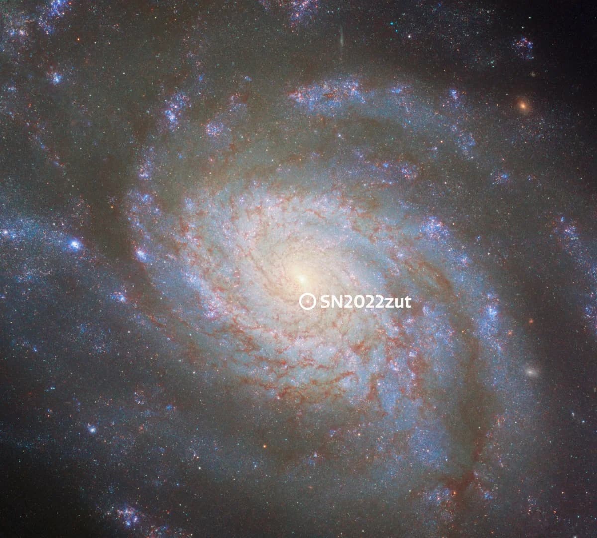 Hubble image of the spiral galaxy NGC 3810. A small white circle marks the Type Ia supernova SN 2022zut.