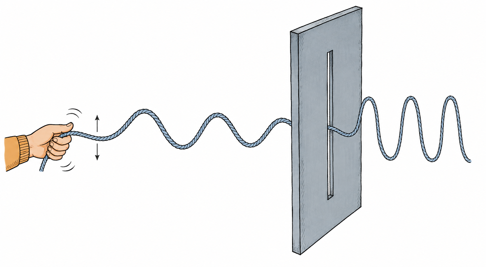 A hand shakes a rope vertically through a vertical slot, which transmits only the aligned transverse vibration.