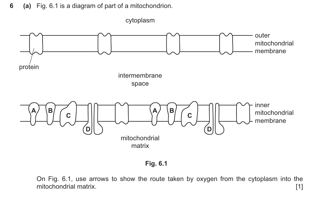9700/42/M/J/24 question 6